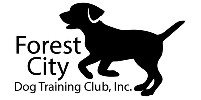 Fast CAT - Forest City Dog Training Club (2024 Event)