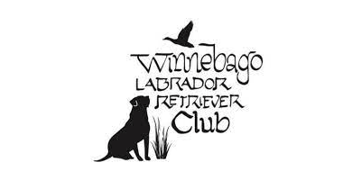 Fast CAT - Winnebago Labrador Retriever Club / Rockford-Freeport Kennel Club (2024 Event)