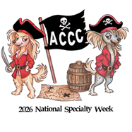 American Chinese Crested Club FastCAT