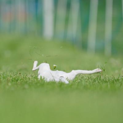 Bie skidding in hard