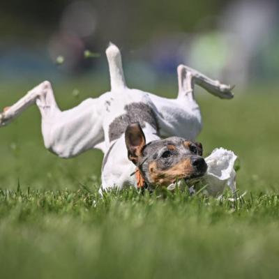 Breeze coming in hard!