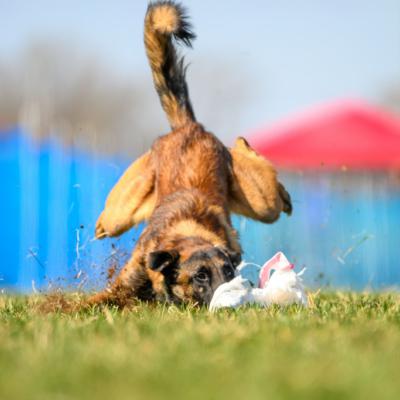 Sevi forgot to put on the brakes!