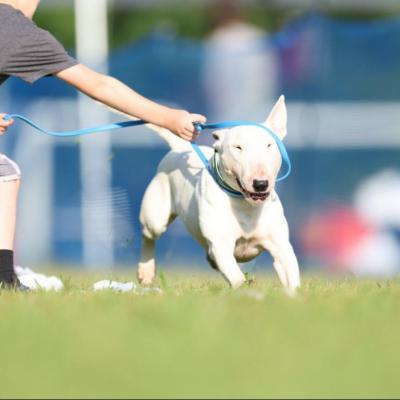 Thunk getting lassoed