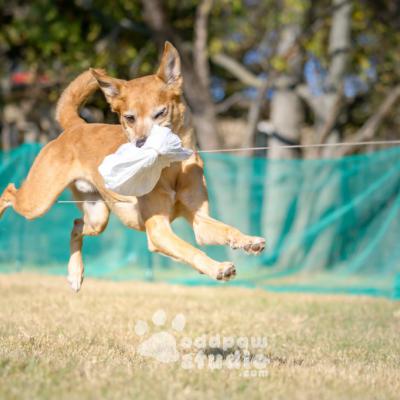 Floating into the finish