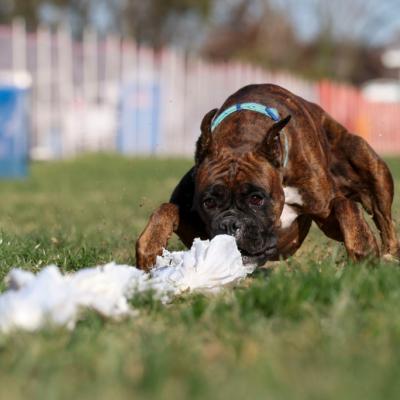 River sliding in low