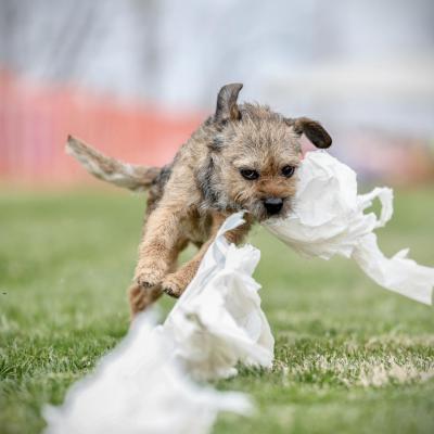 Joker with his prize!